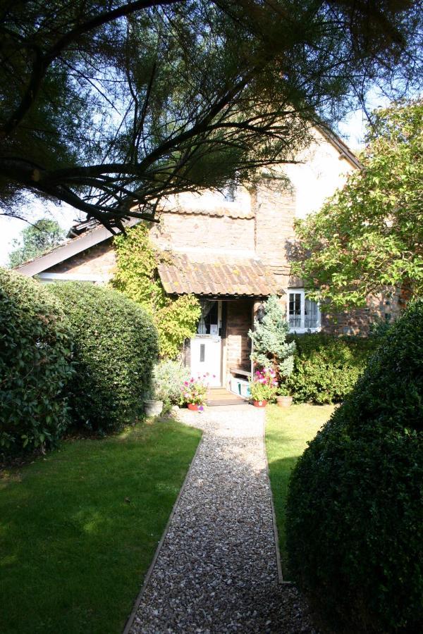 Tudor Cottage Bossington エクステリア 写真